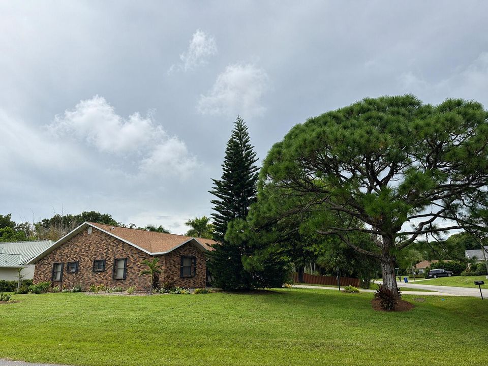 Exterior_Corner_Mature_Trees
