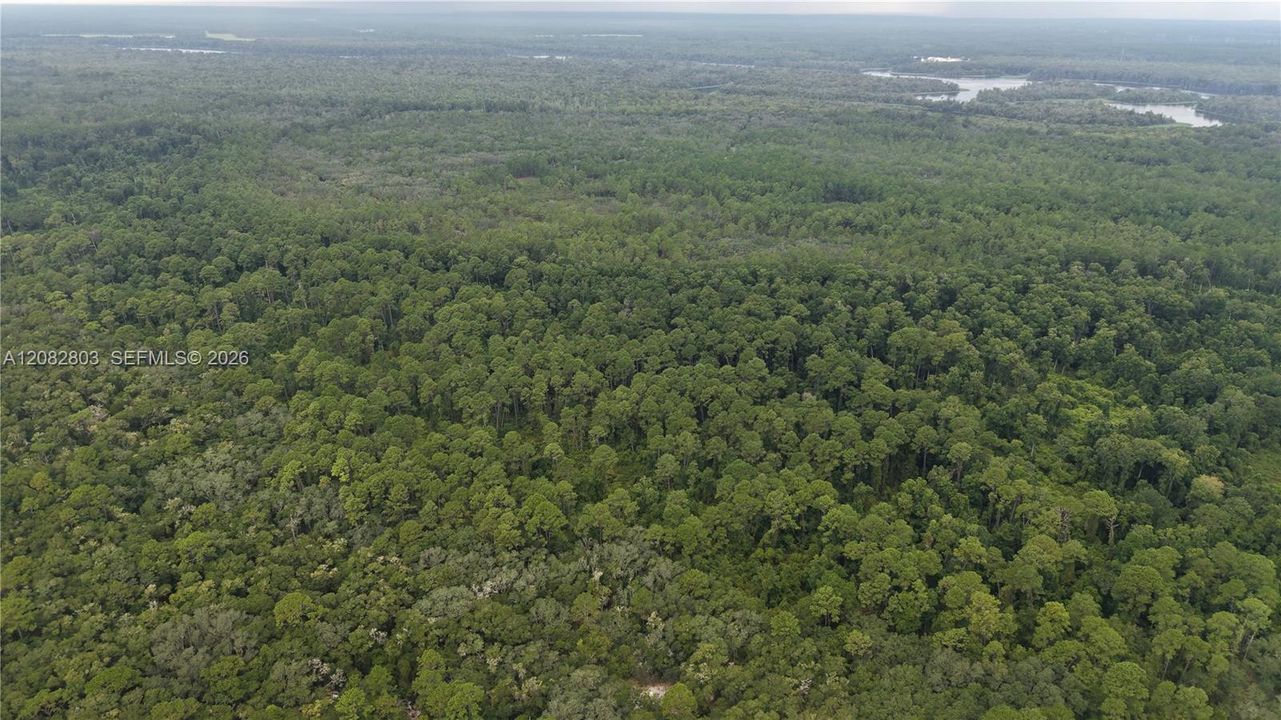 待售: $15,000 (1.61 acres)