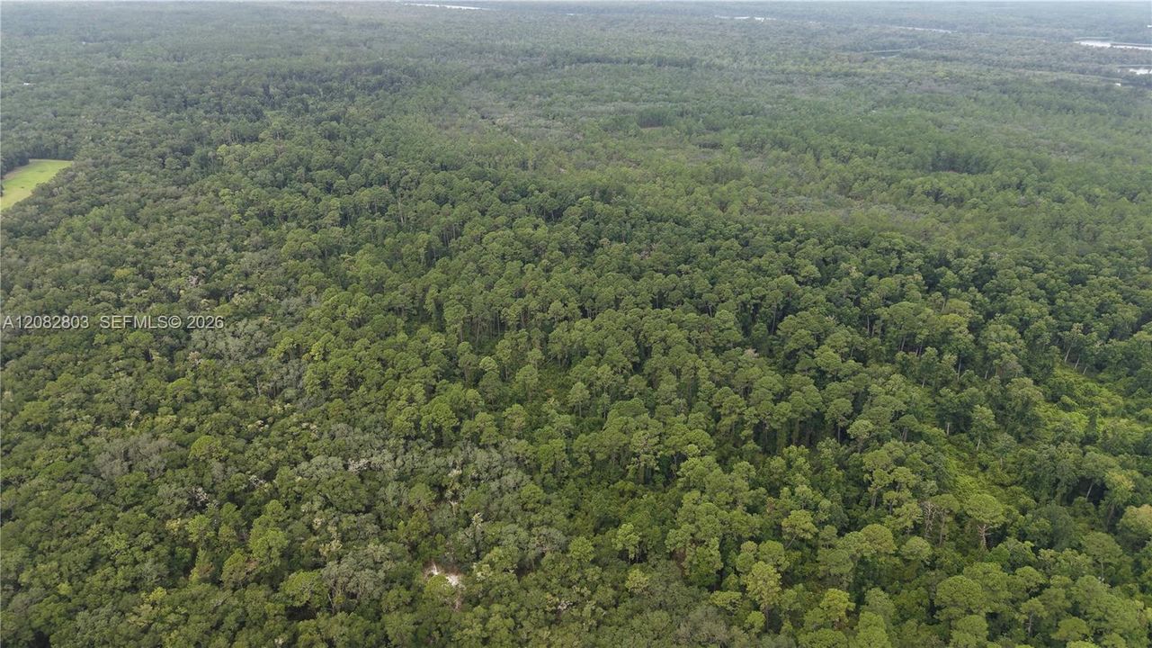 待售: $15,000 (1.61 acres)