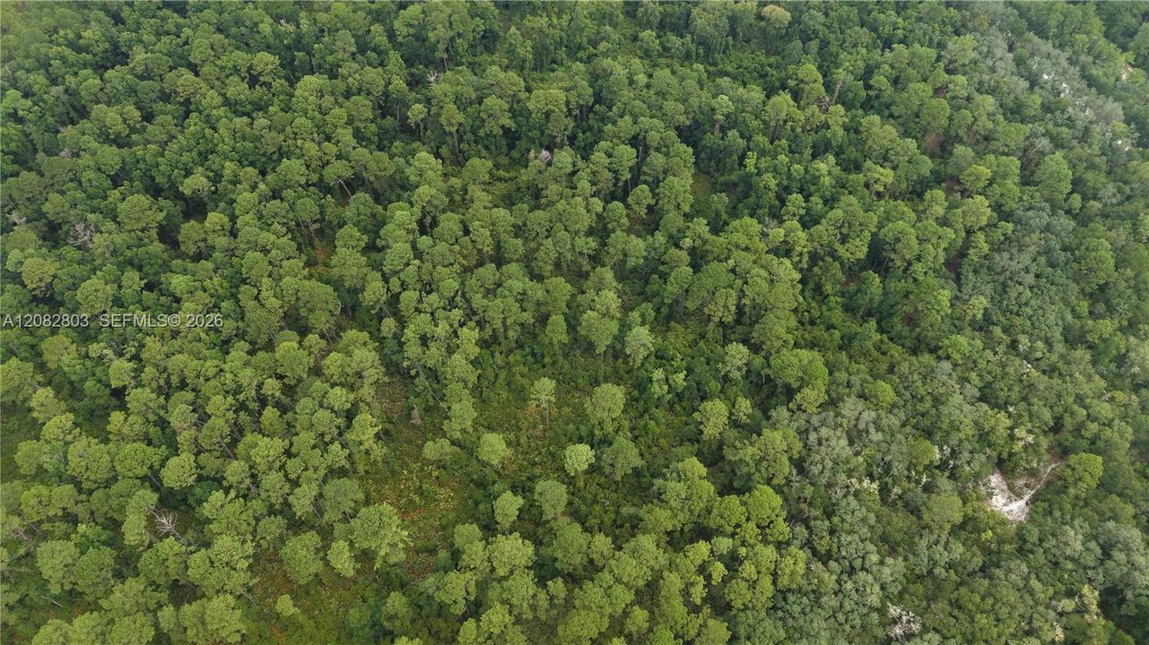 待售: $15,000 (1.61 acres)