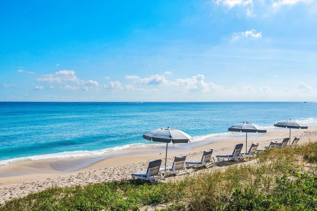 Oceanfront Chairs & Umbrellas