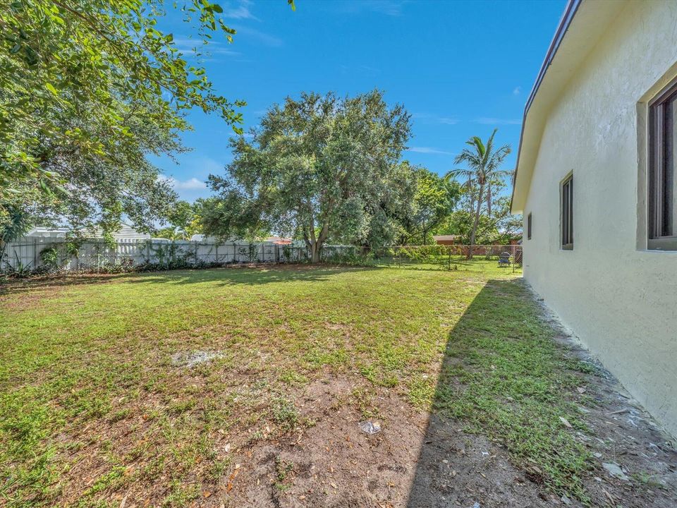 Backyard Side View