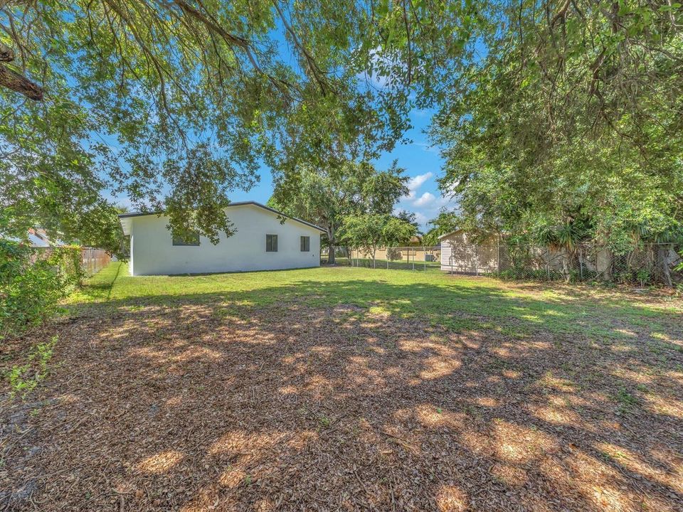 Huge Back Yard