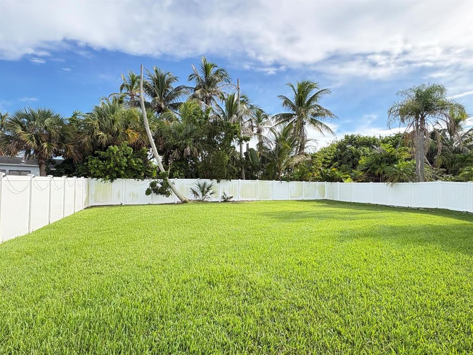 Backyard Fenced