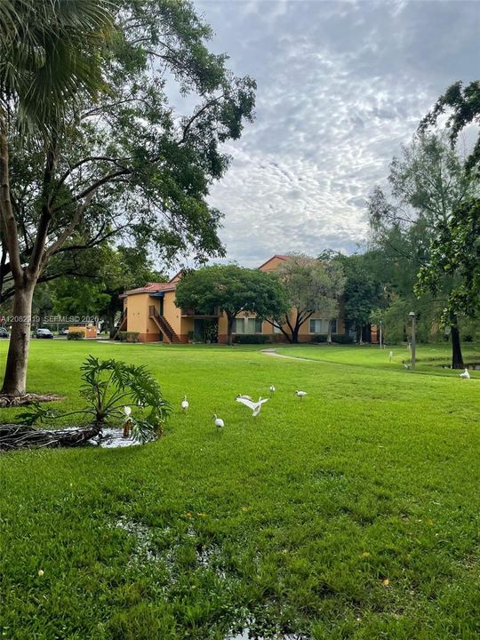 For Rent: $2,000 (2 beds, 2 baths, 965 Square Feet)