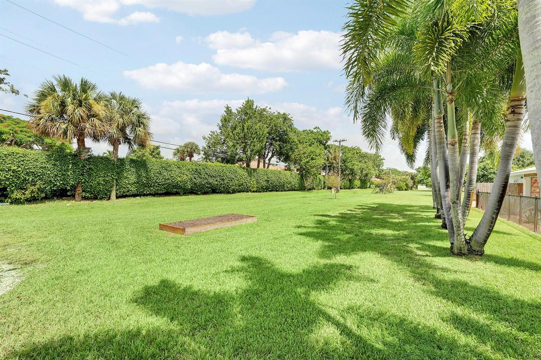 Back Yard