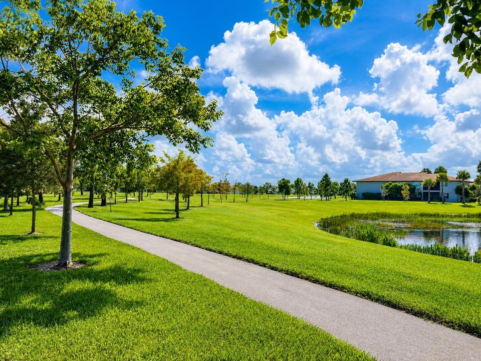 Lake trail