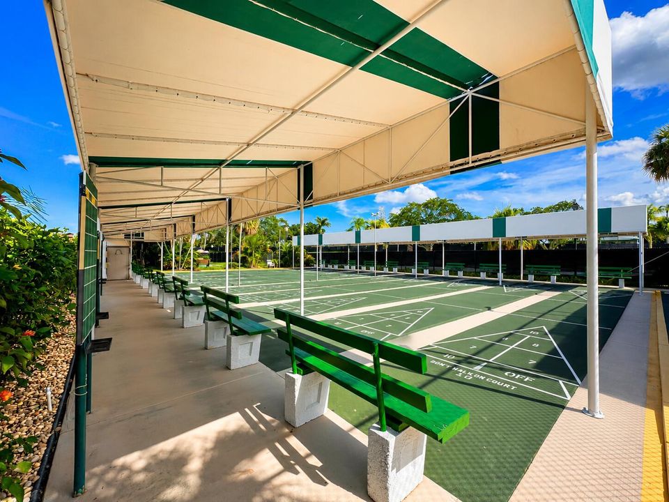 Shuffleboard