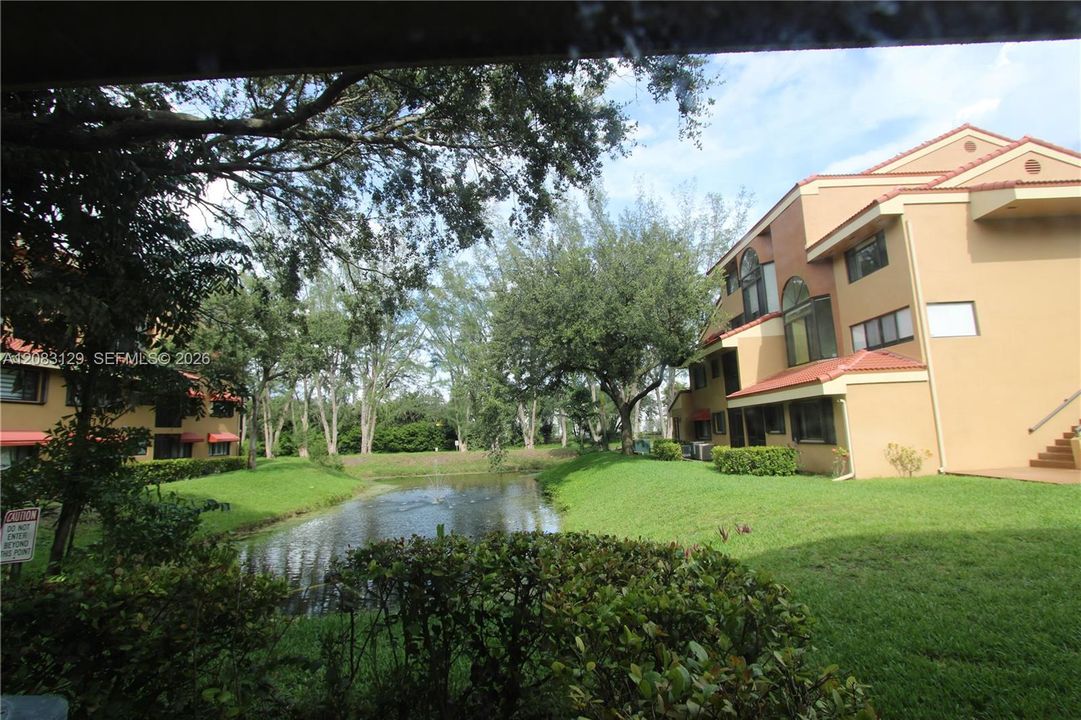 view from patio