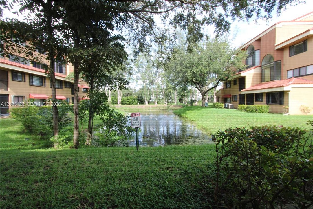 pond view
