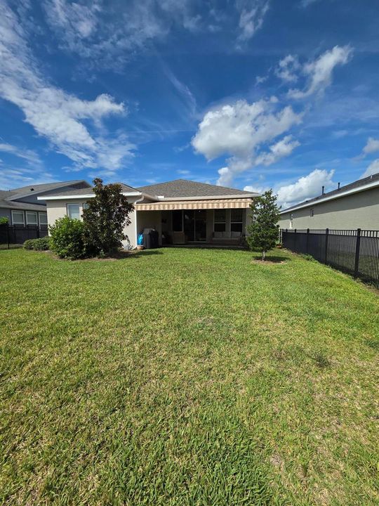 24_Big Back Yard