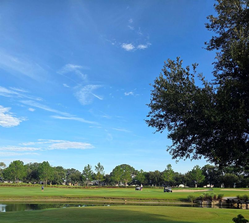 Ocala Preserve