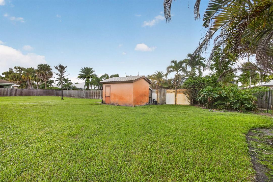 50-web-or-mls-5D1A5880