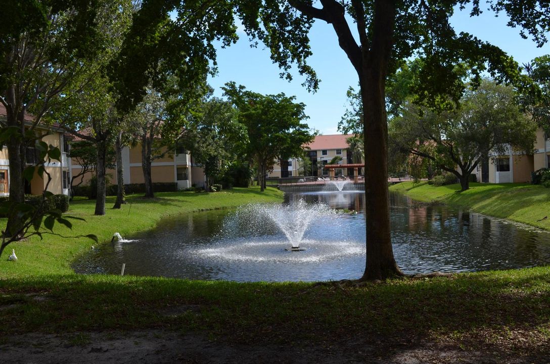 DSC_1023