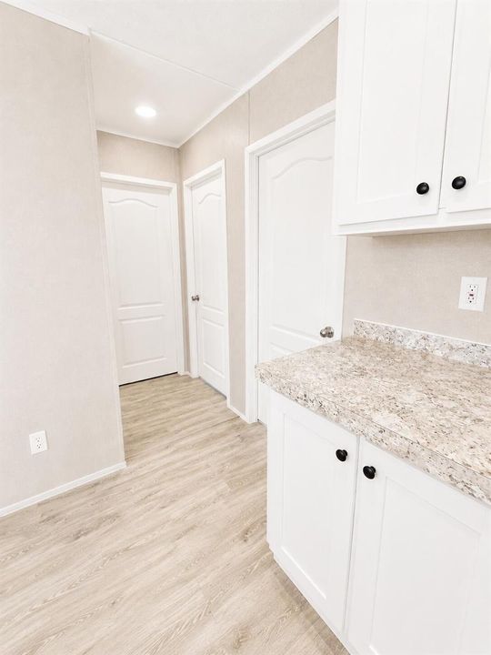 Bright Modern Hallway Kitchen Interior