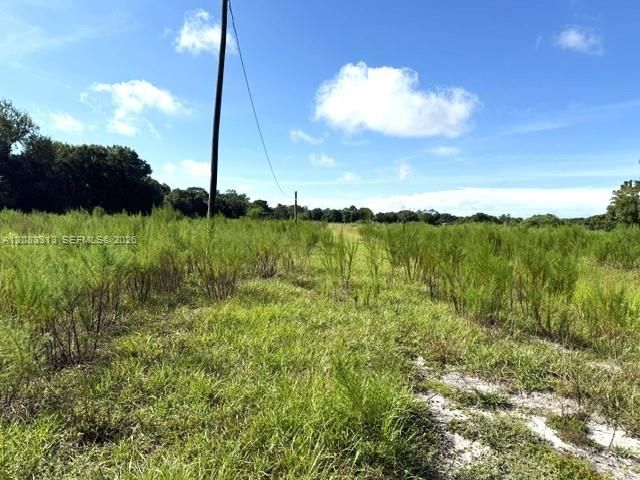 待售: $199,500 (9.89 acres)