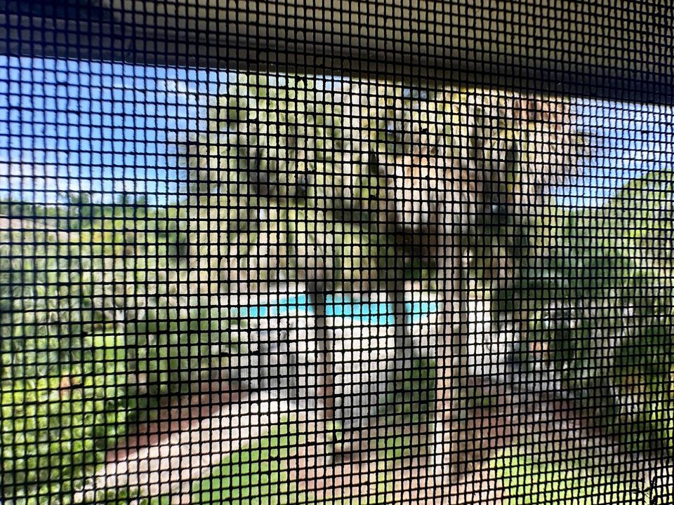 View from balcony