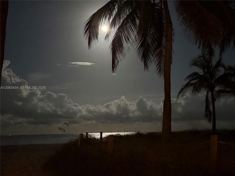 Full Moon