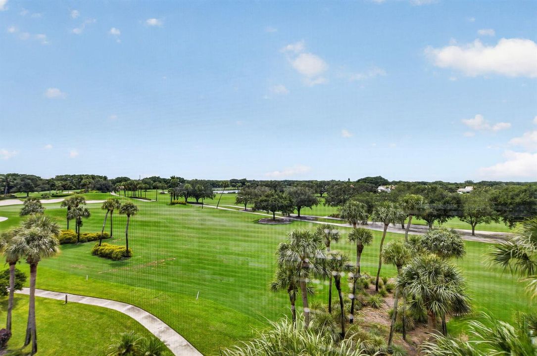 33-web-or-mls-DSC_5653