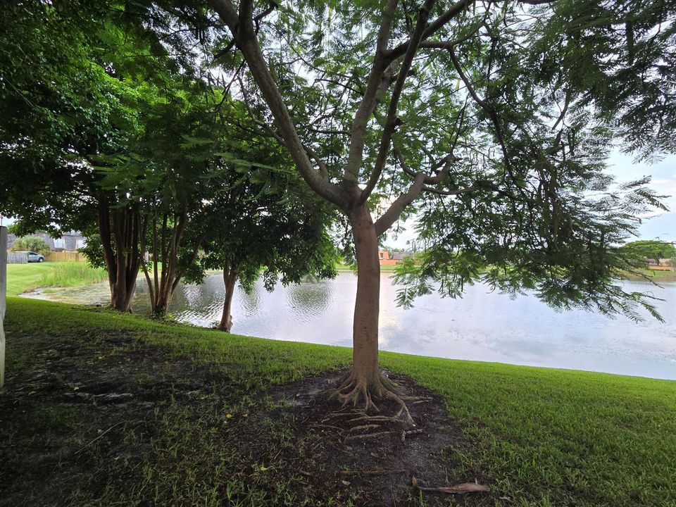Nearby lake