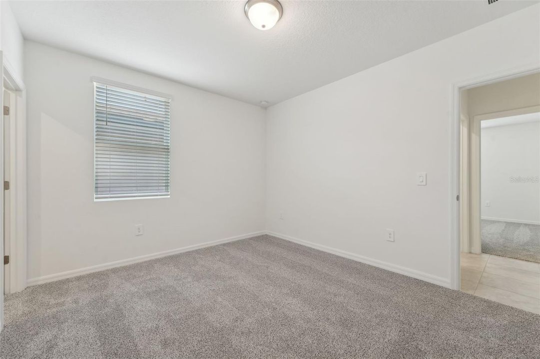 Lily -3824 Giorgio Drive - Room 5