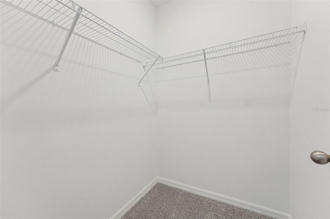 Lily -3824 Giorgio Drive - Closet