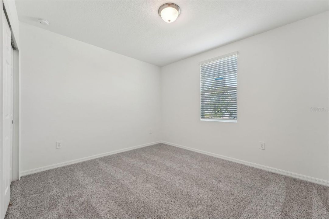 Lily -3824 Giorgio Drive - Room