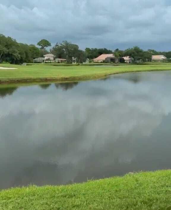 Condo view