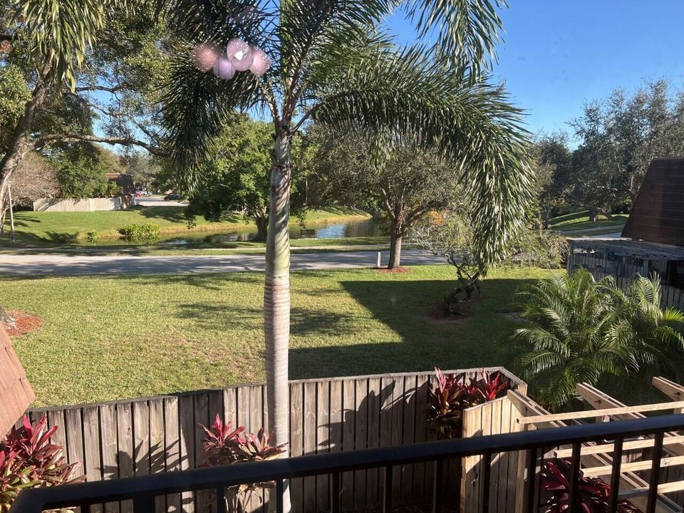 Primary Bedroom View