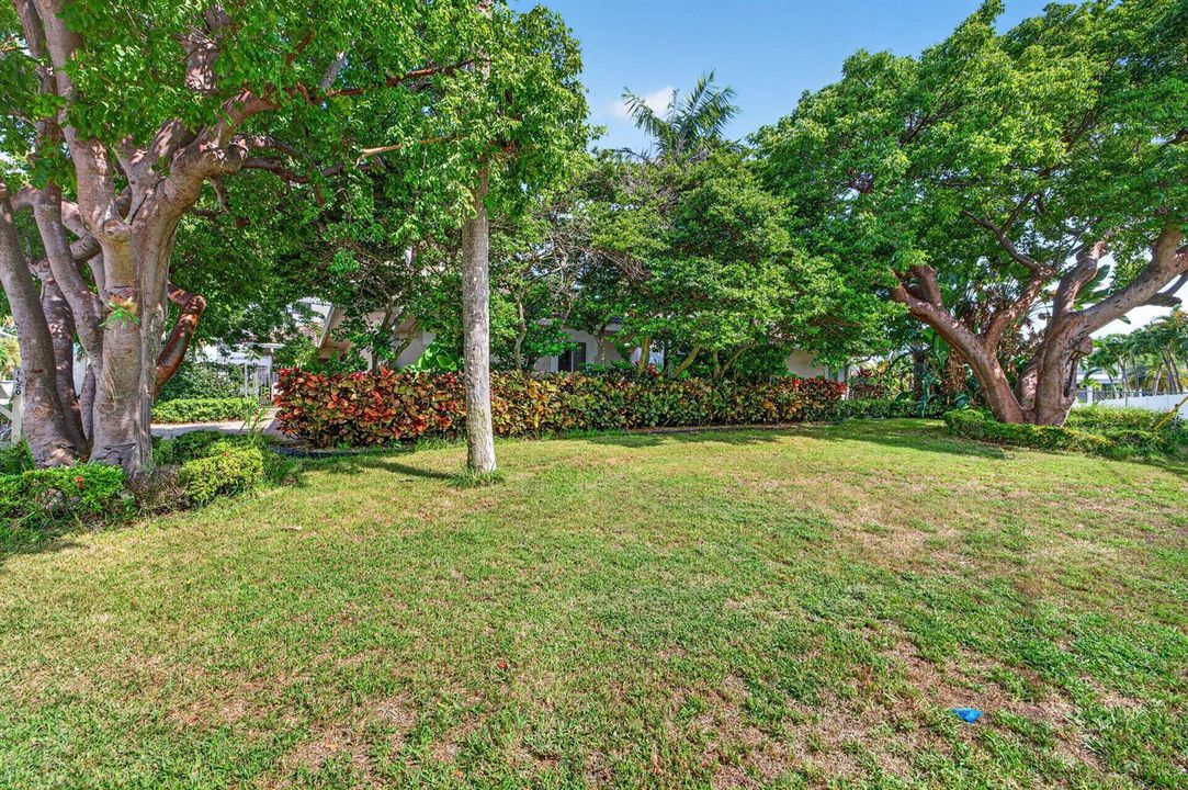 3-web-or-mls-699A8476