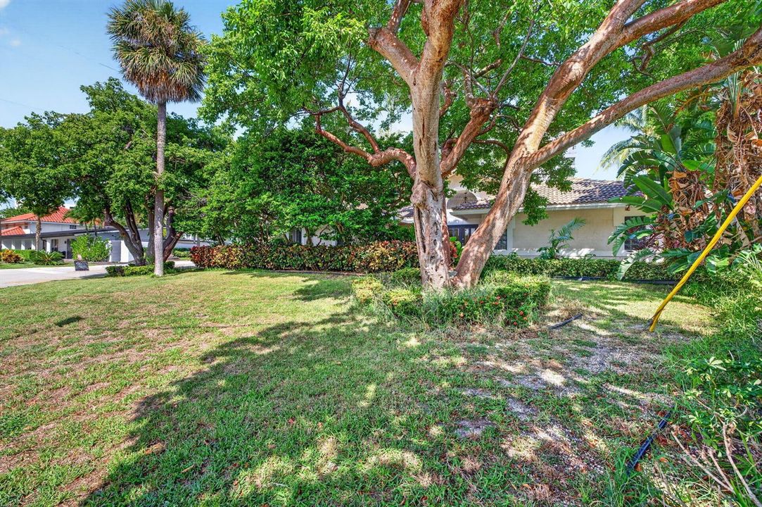 1-web-or-mls-699A8461