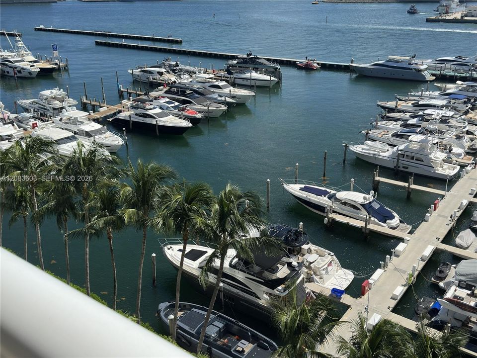 Close-up of the Miami Beach Marina.