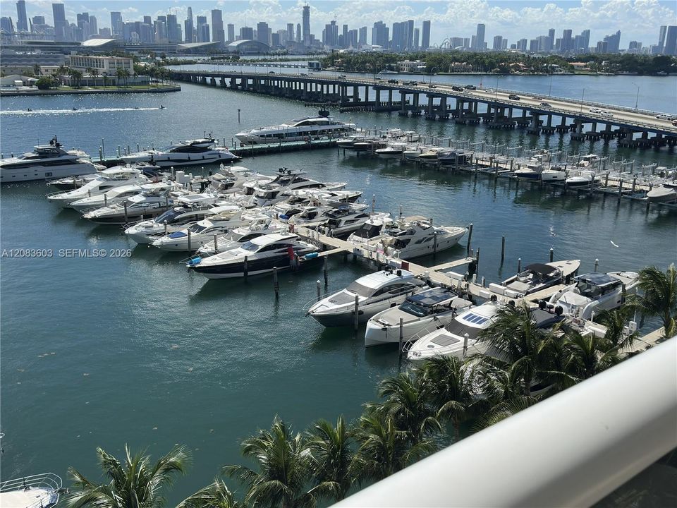 Close-up of the Miami Beach Marina.