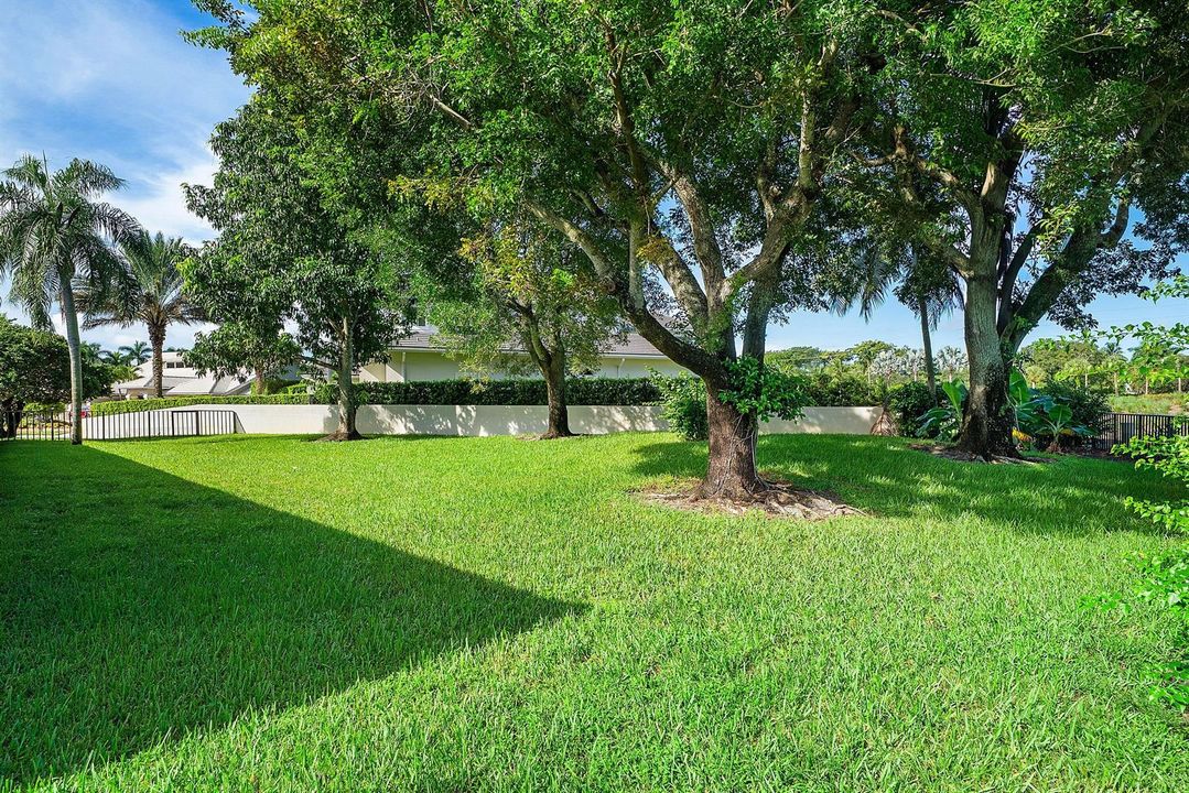 Large side yard
