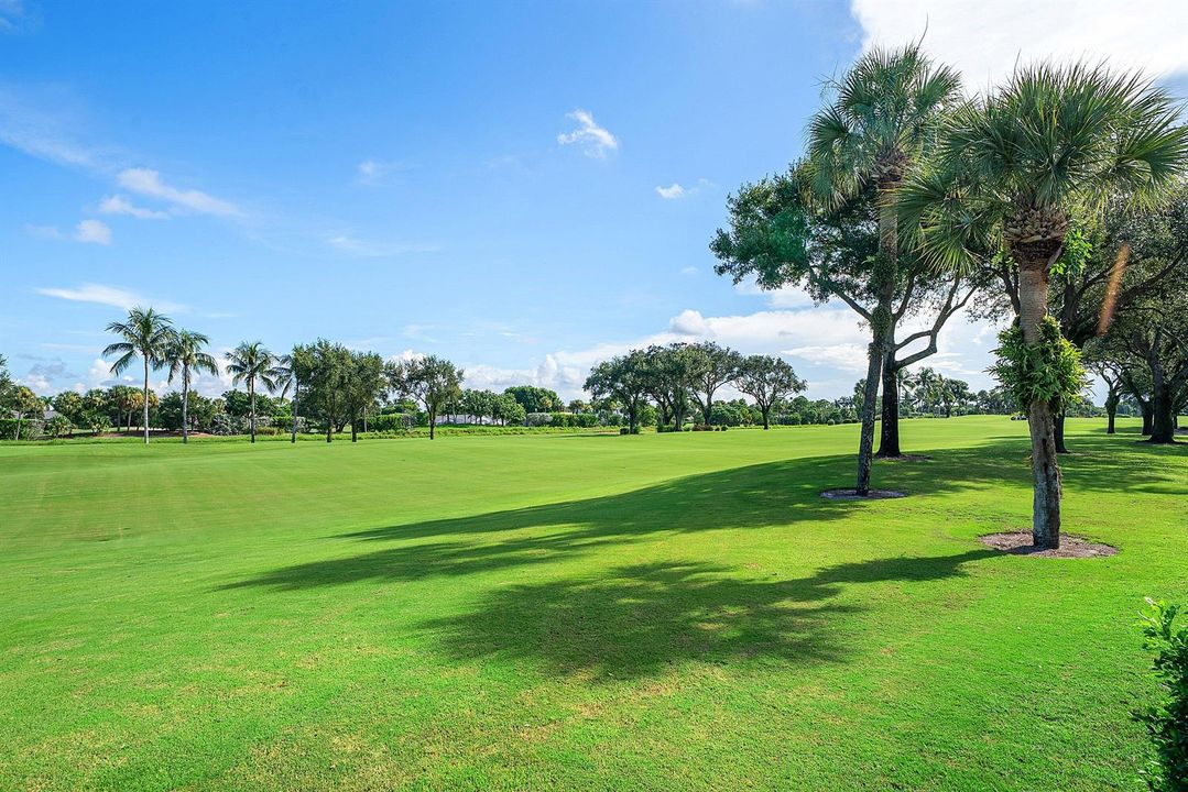 Golf view