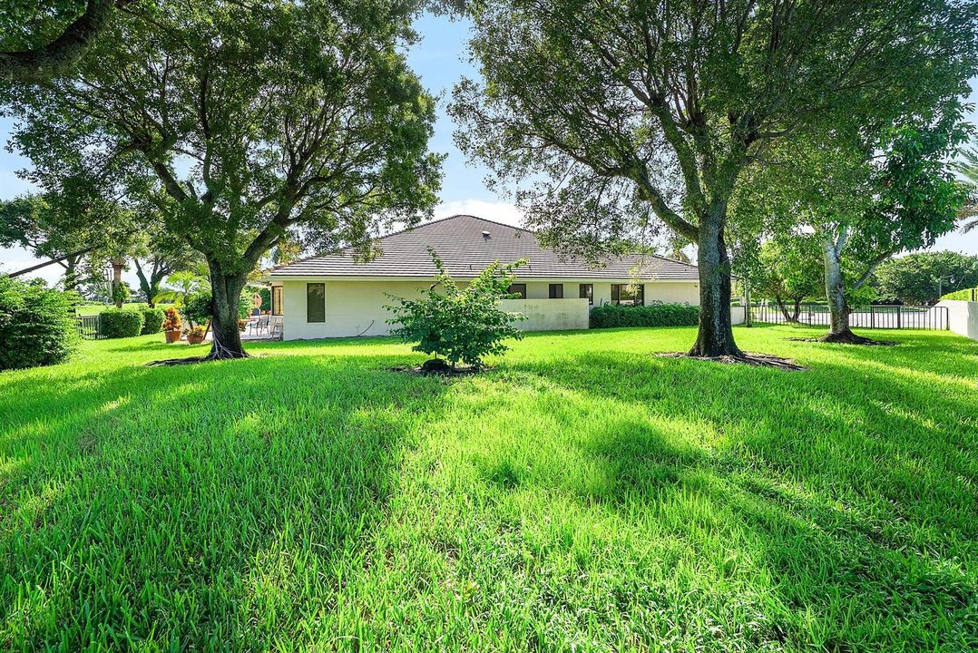 Grassy yard