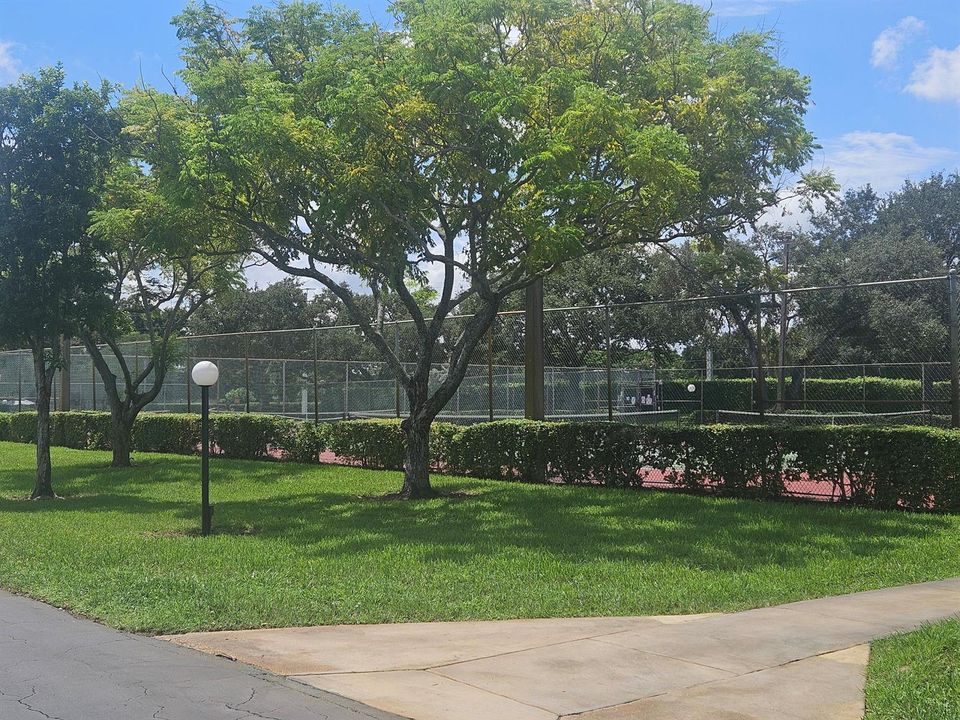 2935 Photo - Tennis4