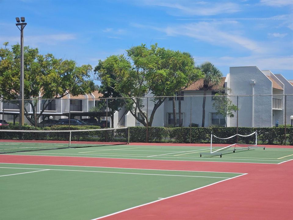 2935 Photo - Tennis1