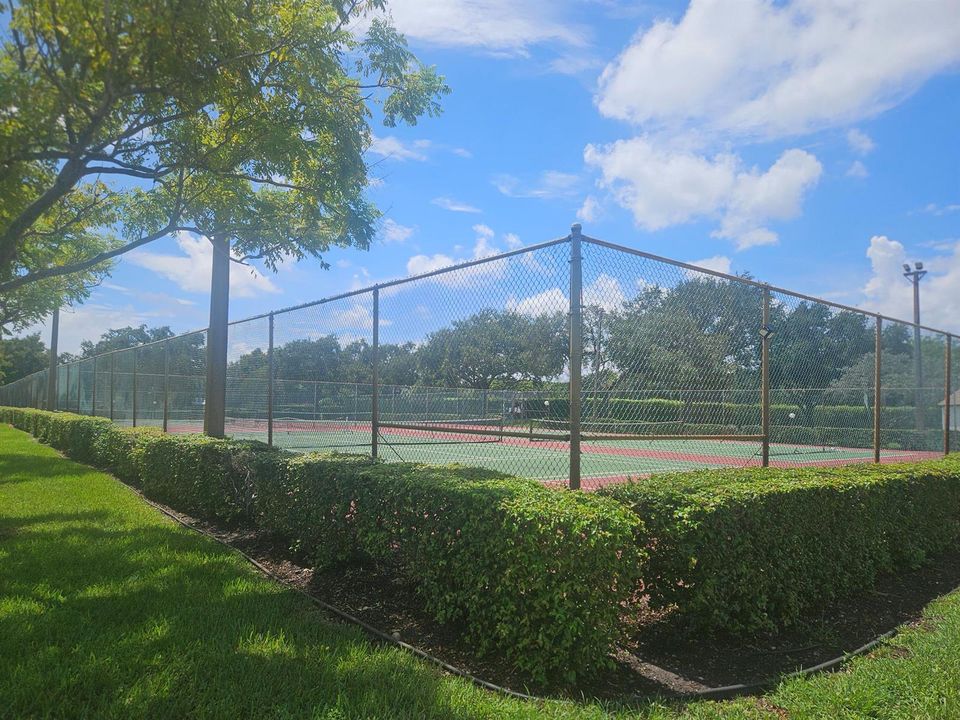 2935 Photo - Tennis5