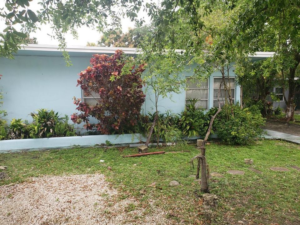 PICTURE NE 111 STREET