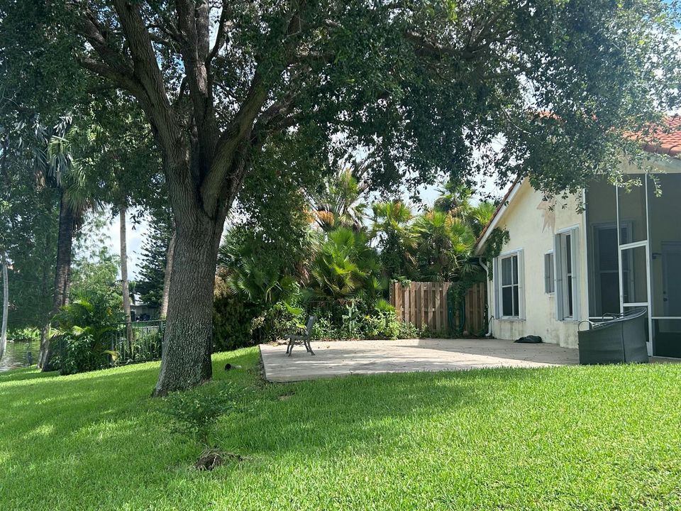 Back patio