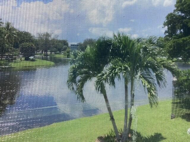 View from Lanai