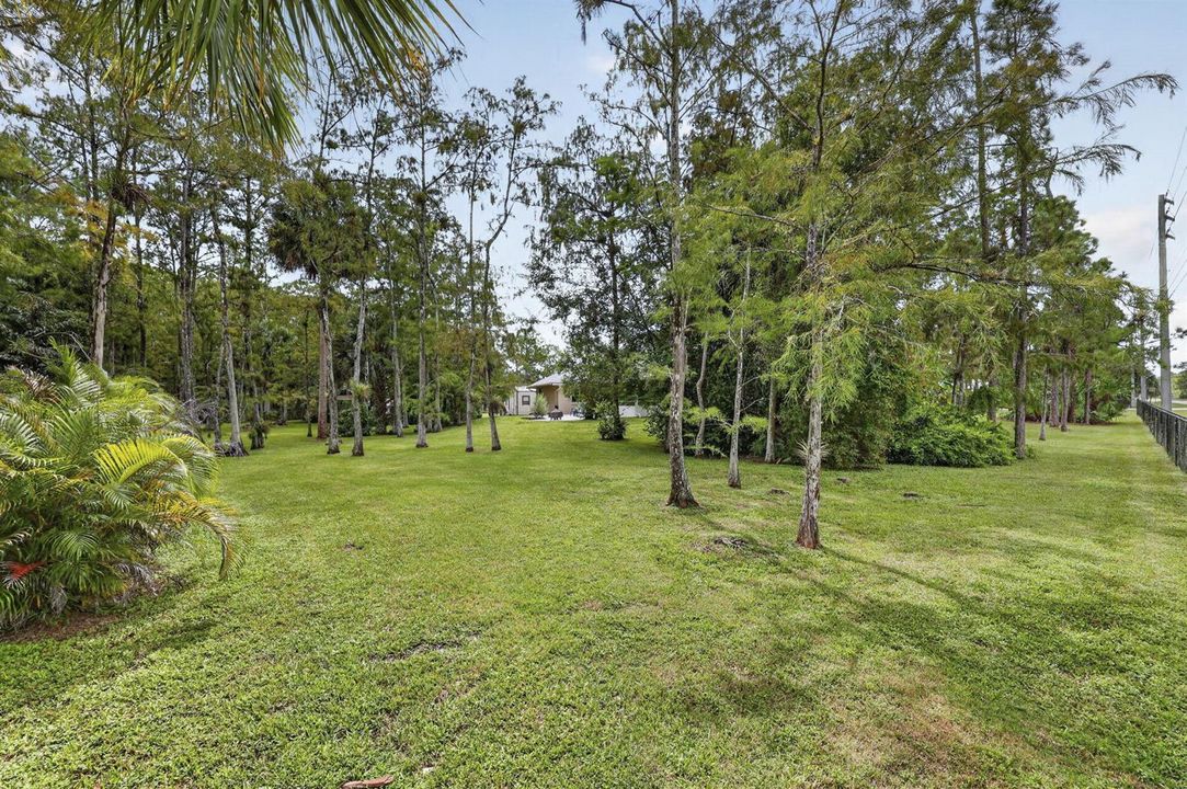 Backyard