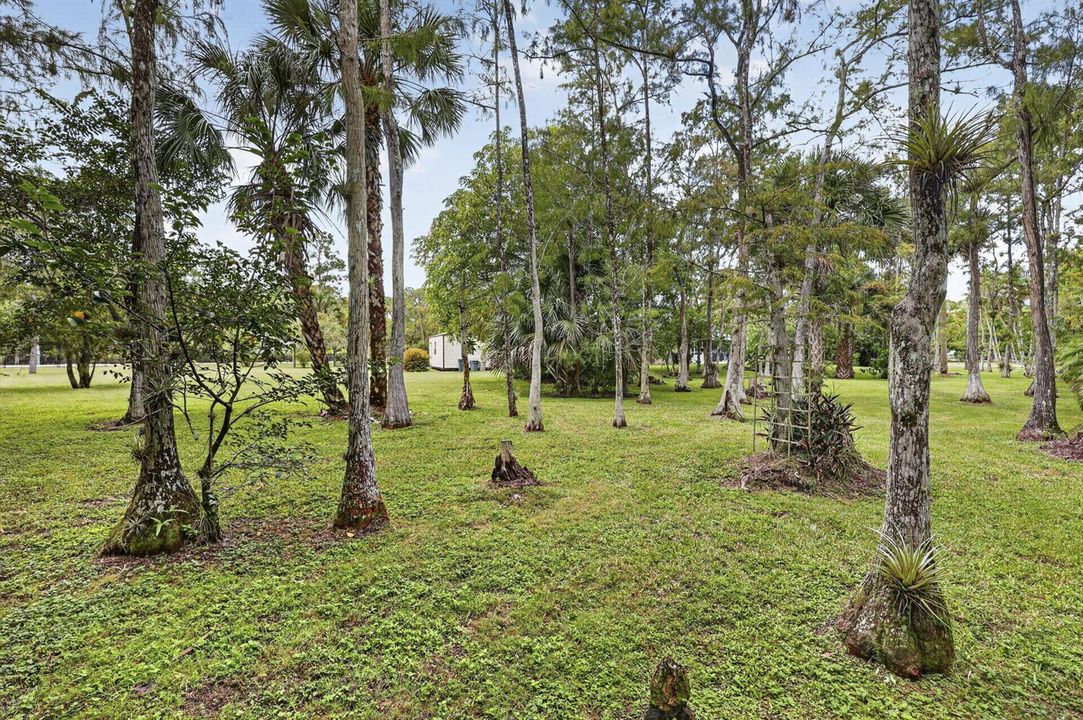 Yard
