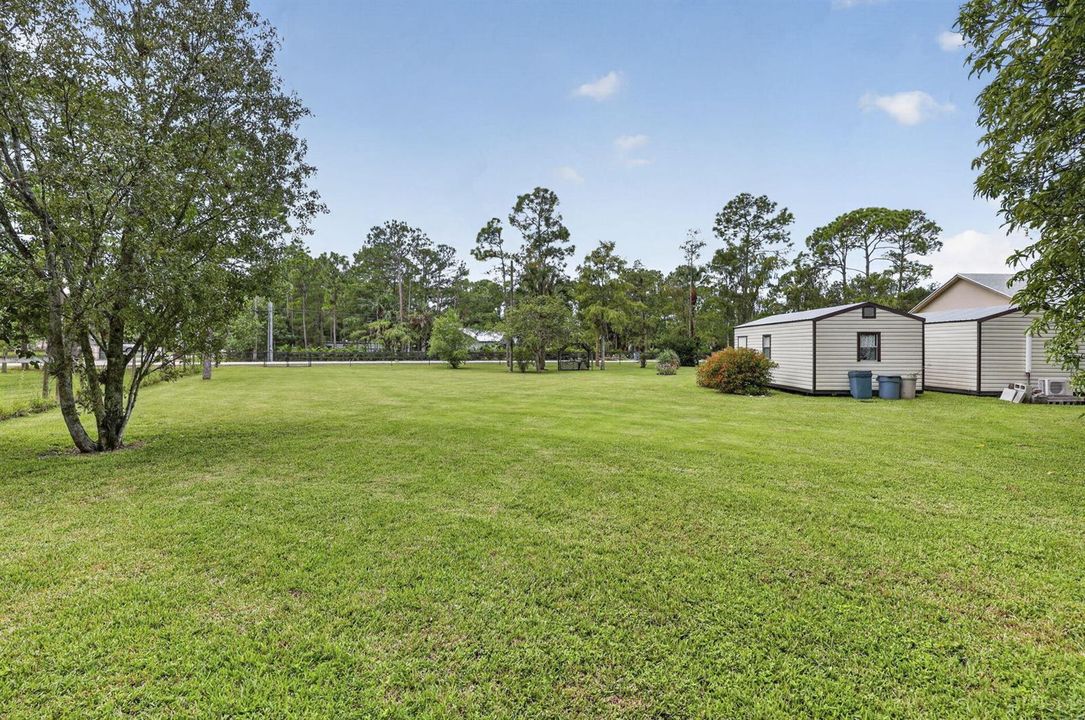 Huge Fenced Yard
