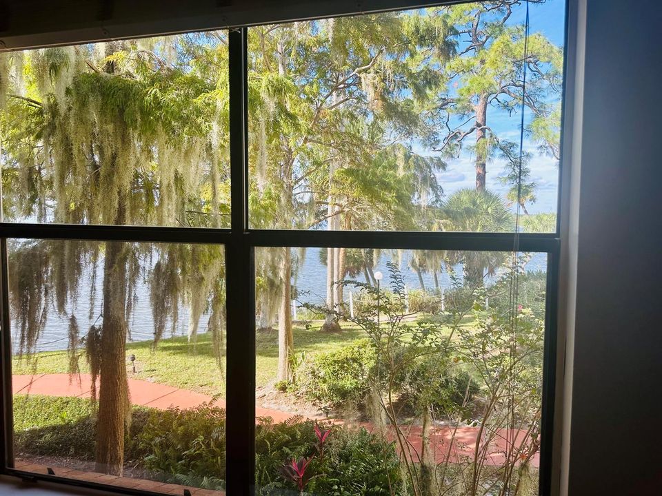 MASTER VIEW