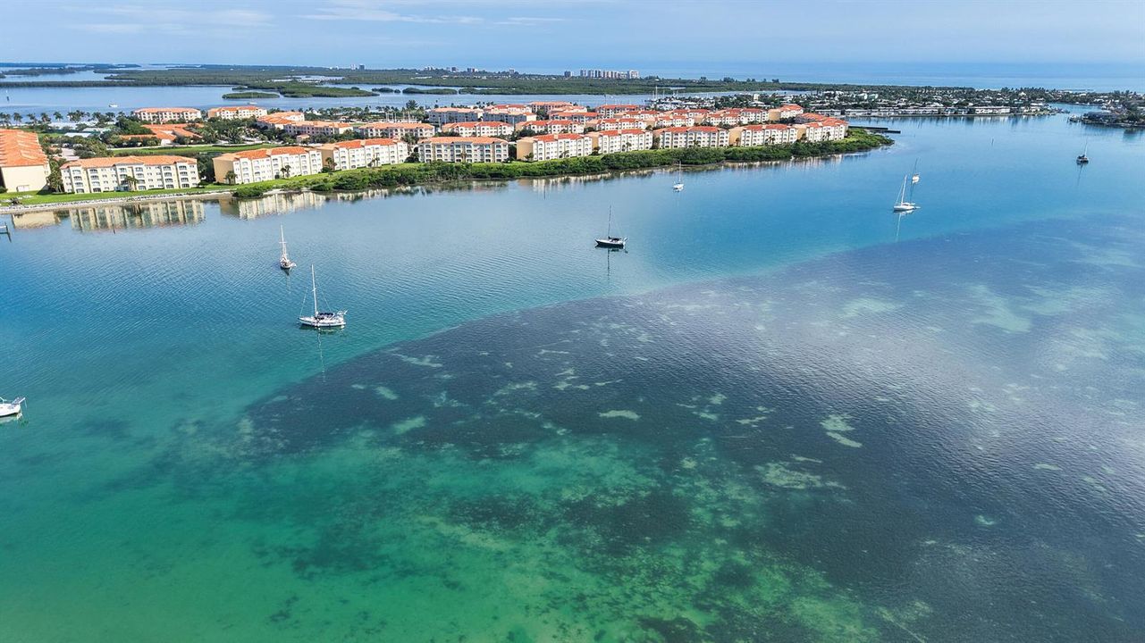 T3