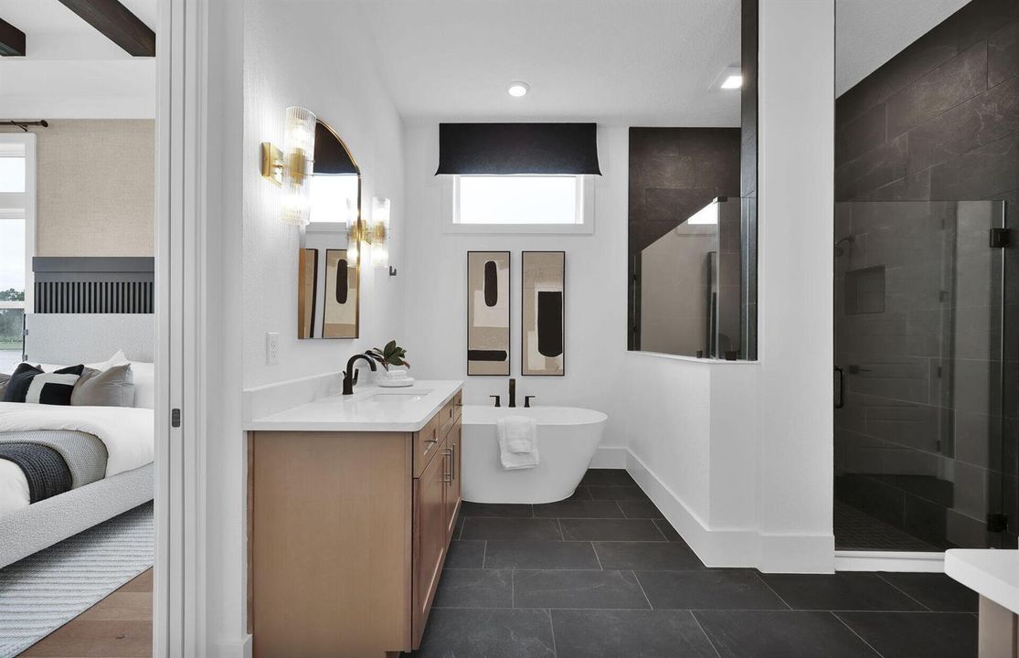 Owner's Bath