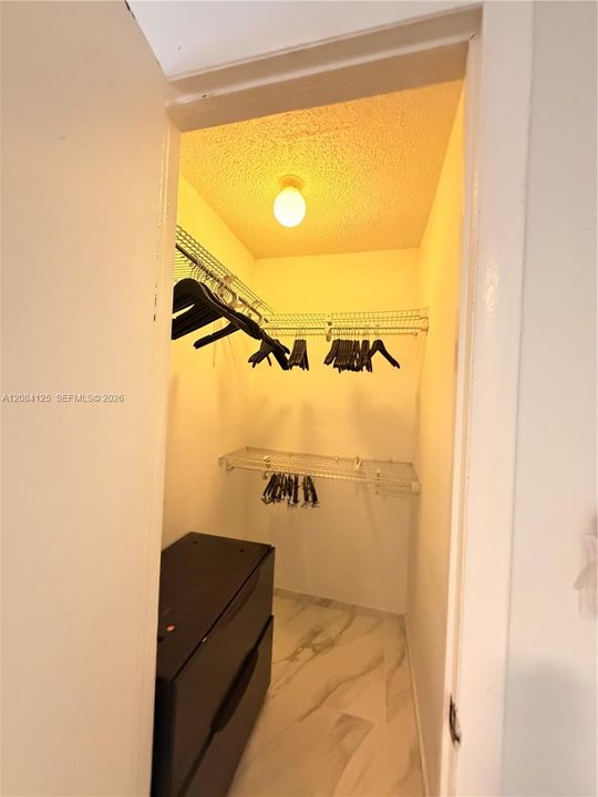 wak in closet in bedroom