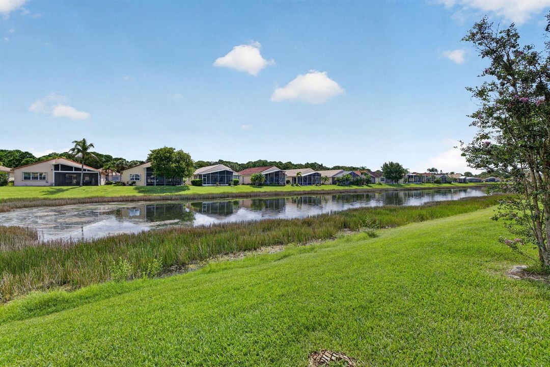 35-web-or-mls-3A5A1842